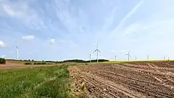 Wiatraki w Zdrzewnie