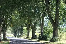 Dawny odcinek drogi w Zegrzu Pomorskim