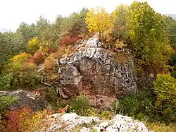 Odsłonięcie geologiczne w rezerwacie przyrody Góra Zelejowa