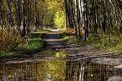 Staw Hubertus 2 - lęgowisko ptaków