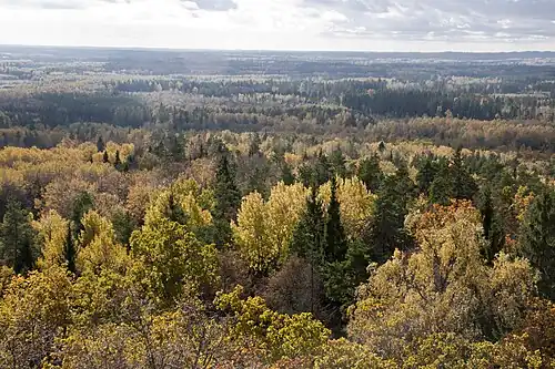 Widok ze wzgórza Zilaiskalns (2011)