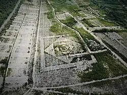 Znak III - lasy Bukowno