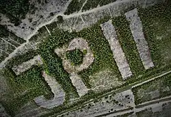 Znak II - lasy Bukowno