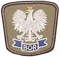 Godło Polski na naszywce BOR-u