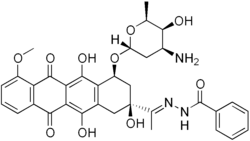 zorubicyna (L01DB05)