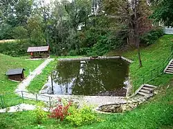 Źródła Czarnej Przemszy w Bzowie