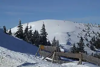 Widok z górnej stacji wyciągu narciarskiego