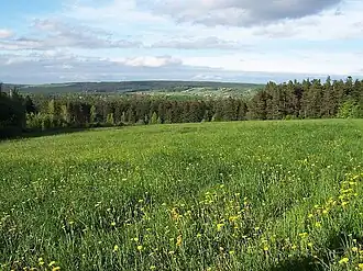 Widok spod szczytu w kierunku Zwierzyńca