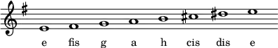 
\relative e'{
\key e \minor
\override Staff.TimeSignature #'stencil = ##f
\cadenzaOn e1 fis g a b cis dis e \cadenzaOff
}
\addlyrics { \small {
e1 fis g a h cis dis e
} }
