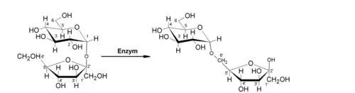 Enzymatyczna konwersja sacharozy do izomaltulozy